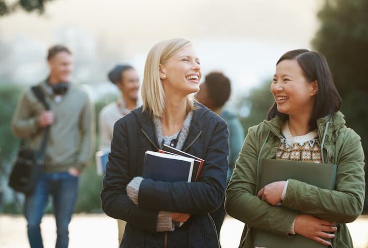 Bachelor Ressources Humaines