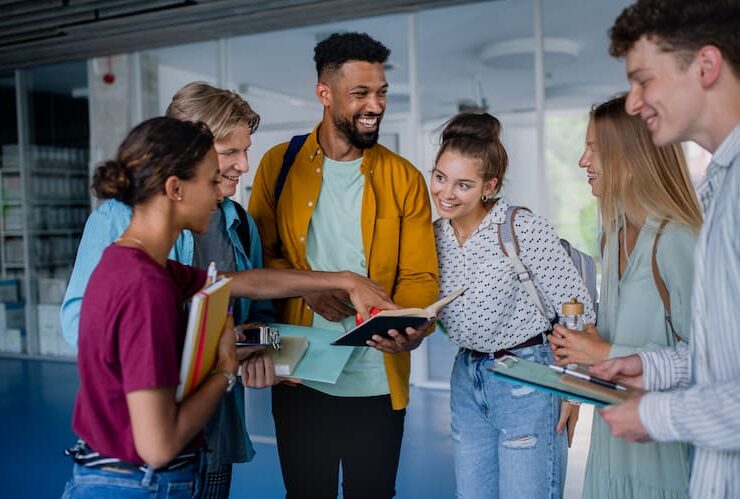 Bachelor Business International (BBI)