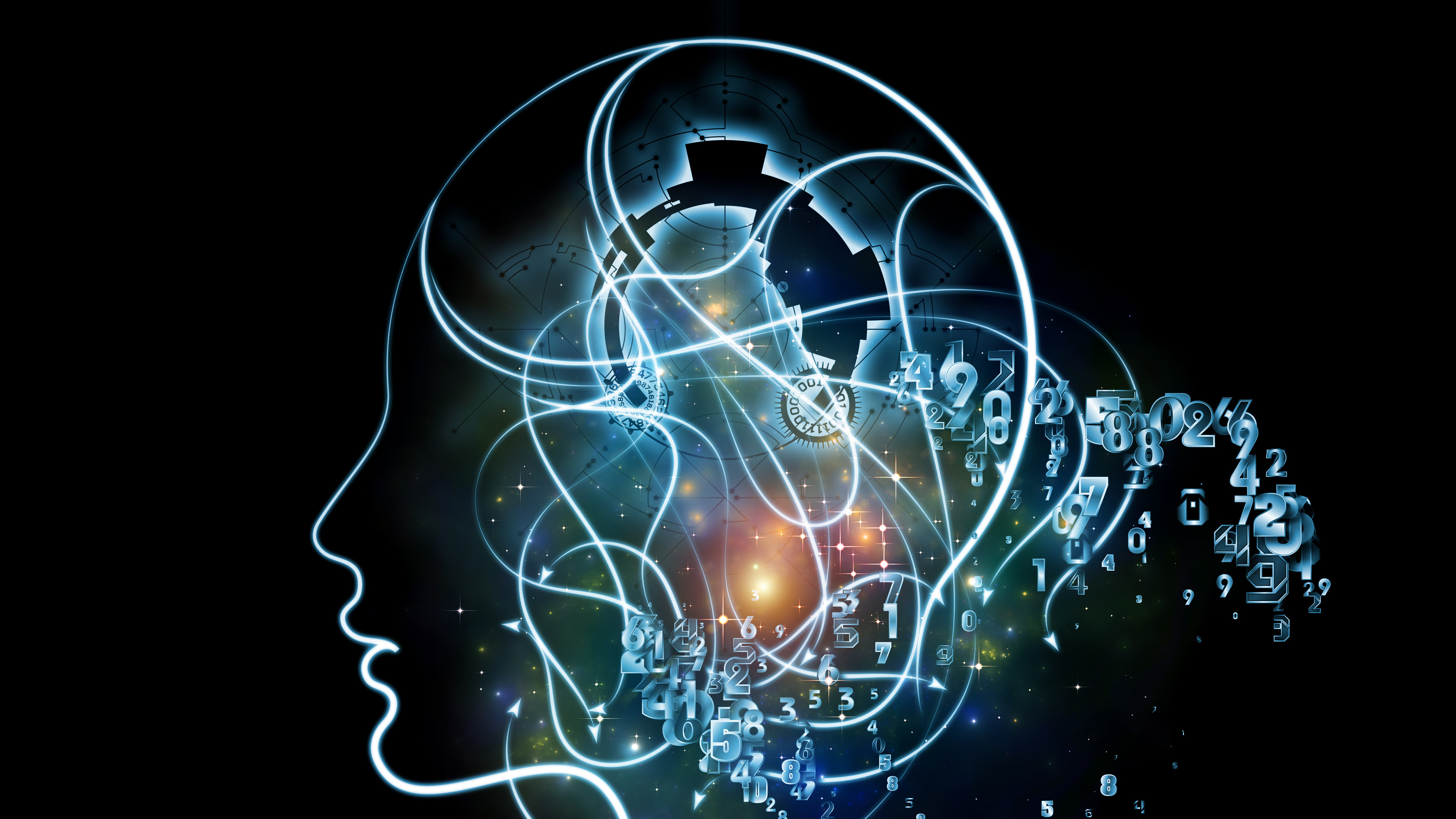 Bachelor of Science en Psychologie